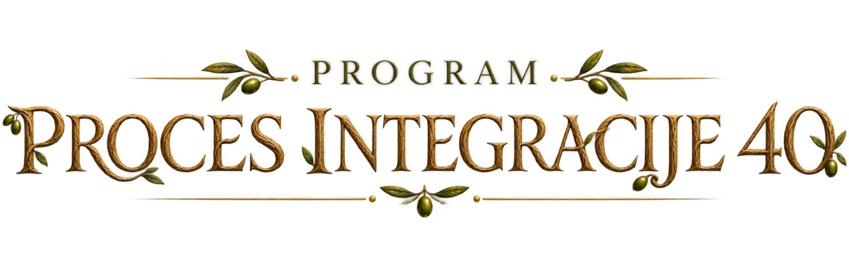 Program Proces integracije 40